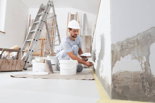 Best Water Damage & Mold Remediation  in Drexel, OH