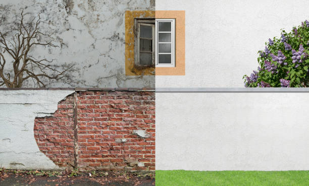  Drexel, OH Mold Removal Pros