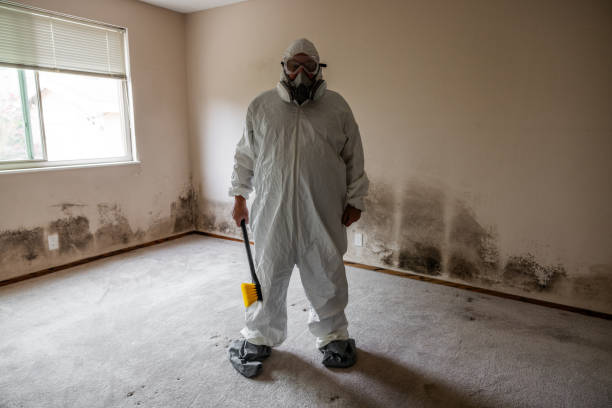 Best Mold Prevention Services  in Drexel, OH